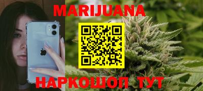 сатива Можга