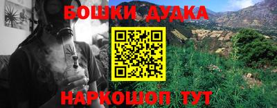 сатива Можга