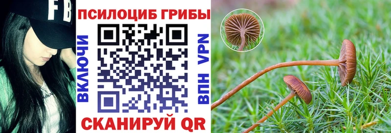 маркетплейс Telegram  Прохладный  Псилоцибиновые грибы Psilocybine cubensis 