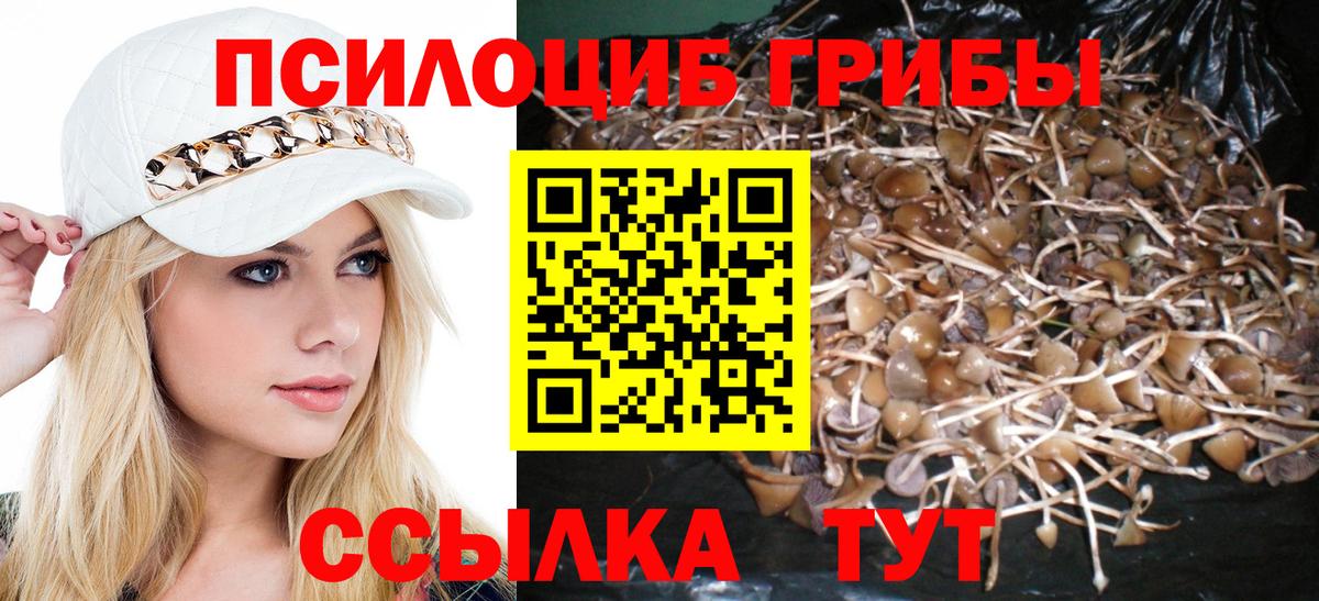 Прохладный  Галлюциногенные грибы Magic Shrooms  Вход с VPN 